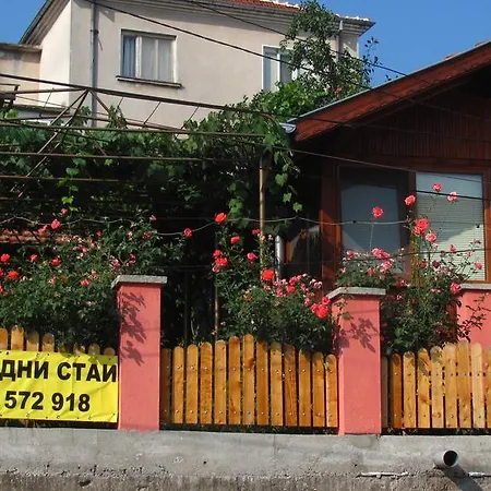 Elena Белоградчик