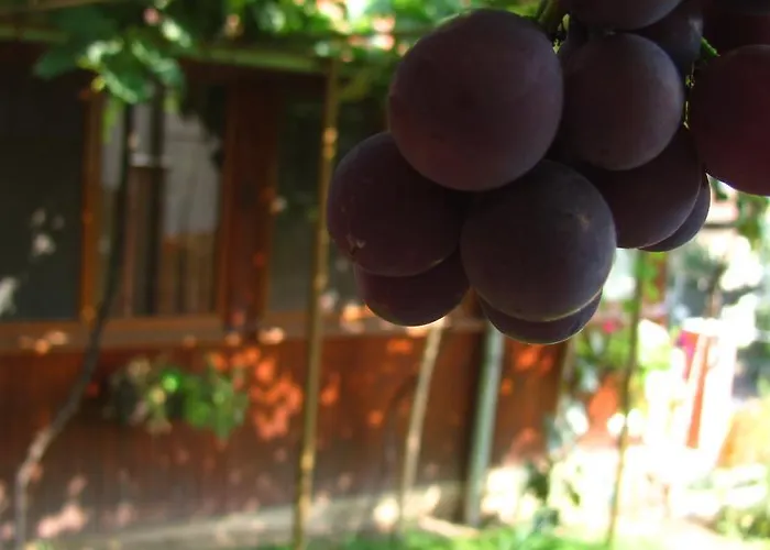 Elena * Belogradčik